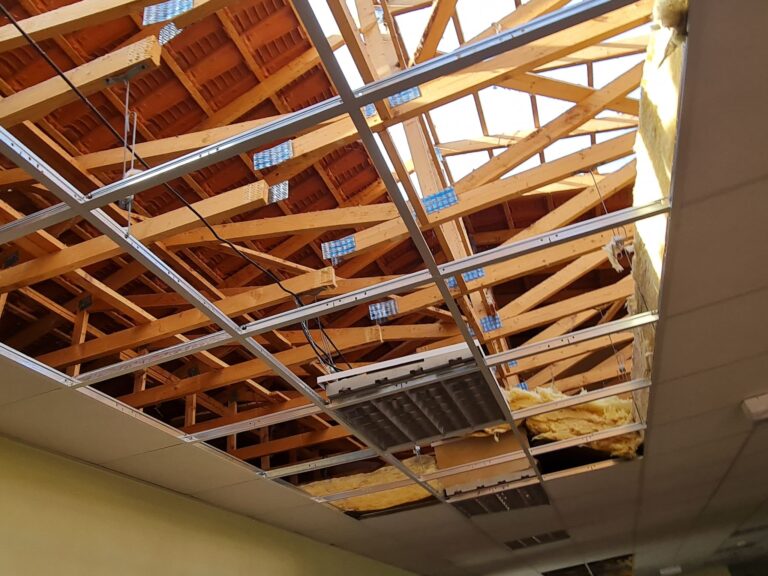 Diagramme illustrant le processus de culture des plantes dans le sol, montrant les &eacute;tapes de croissance et d'entretien.