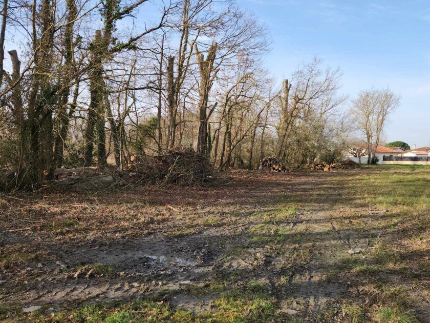 Elagage et mise en s&eacute;curit&eacute; d&rsquo;un bosquet