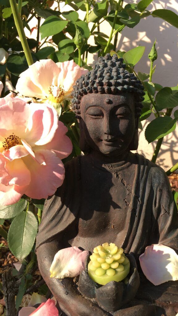 BUDDHA YOGA NOVA 576x1024