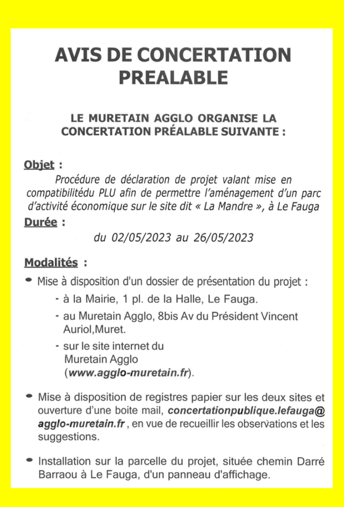 Concertation publique 695x1024