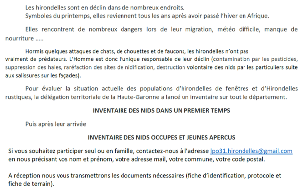 LPO Hirondelles 2